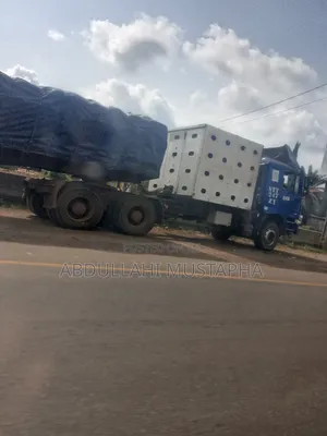 We Sell Dangote and Bua Cement Nationwide