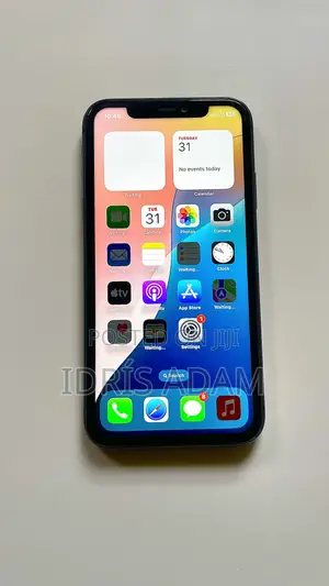 Apple iPhone 11 Pro Max 256 GB Gray