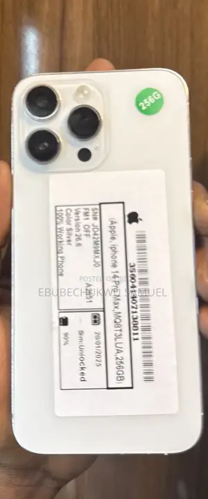 Apple iPhone 14 Pro Max 256 GB Silver