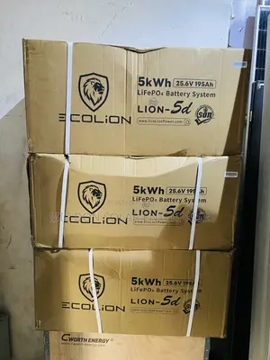 Eco Lion 5kwh