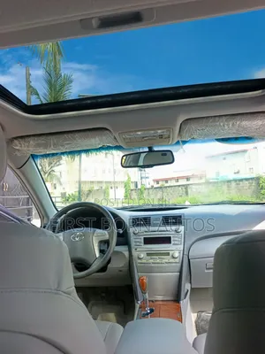 Toyota Camry 2010 Gray