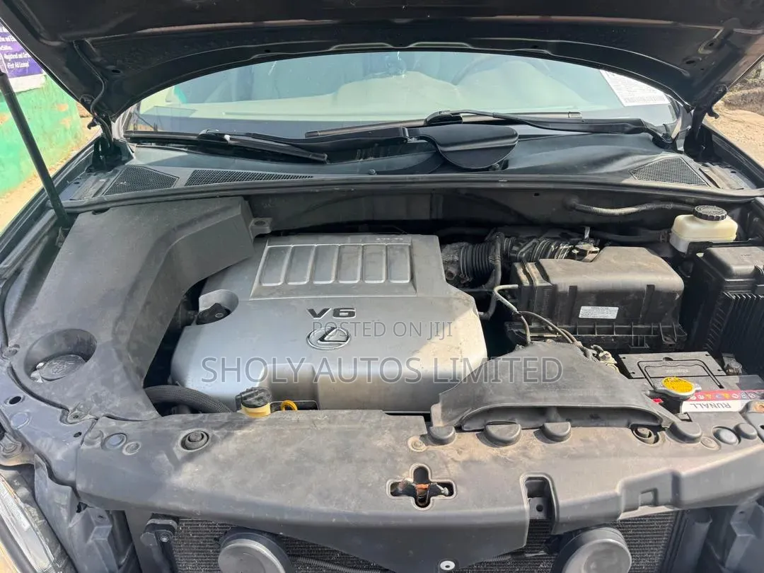 Lexus RX 2009 Black
