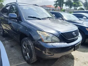 Lexus RX 330 2005 Gray