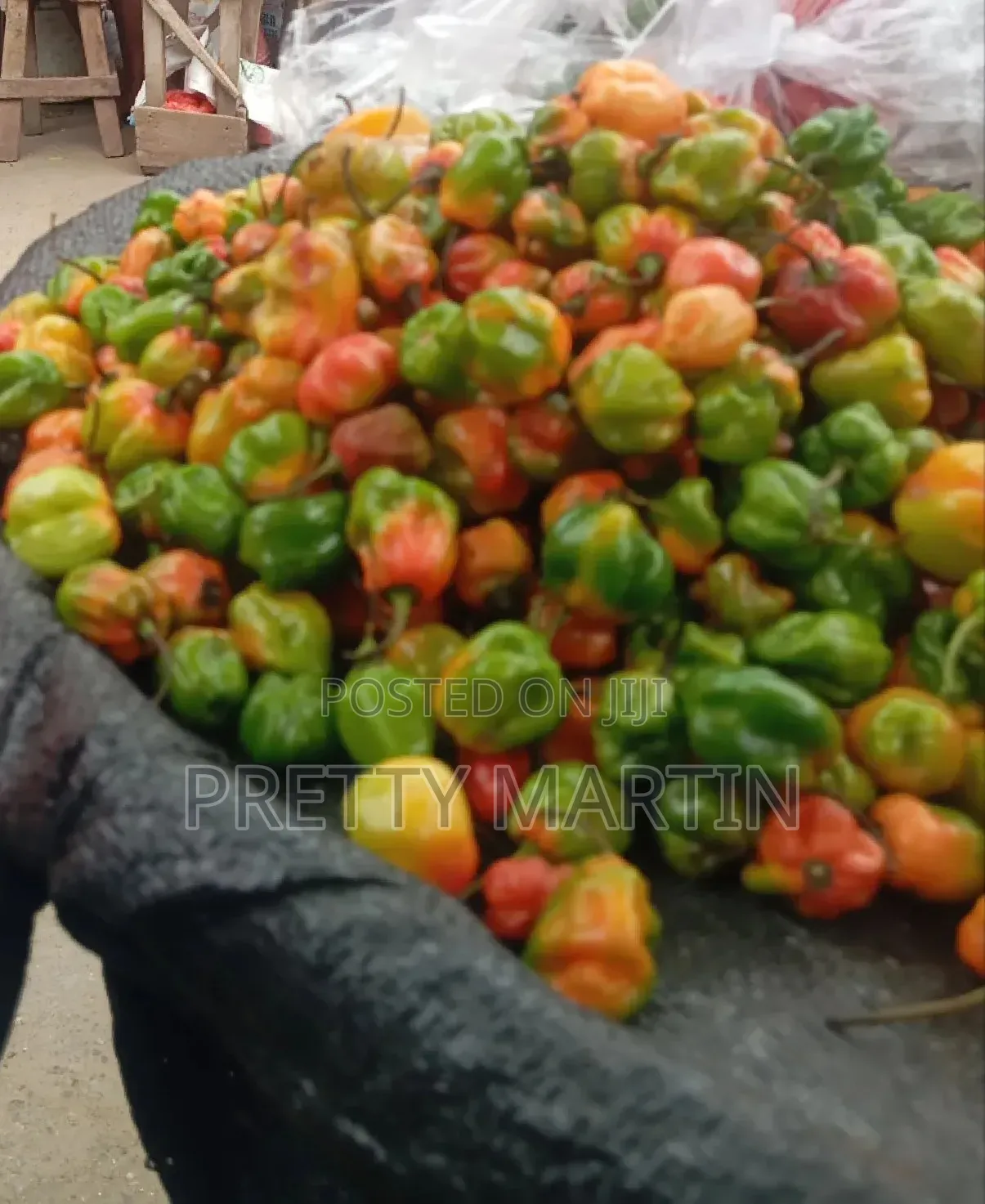 Pepper Love