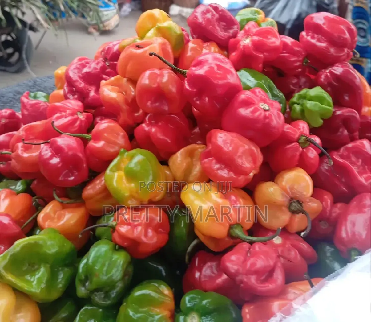 Pepper Love