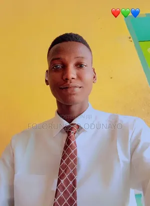 High School Mathematics Teacher