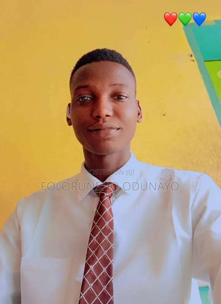 High School Mathematics Teacher