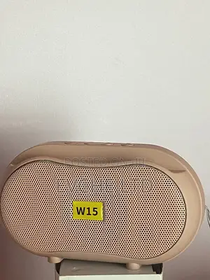 W15 Portable Wireless Bluetooth Speaker