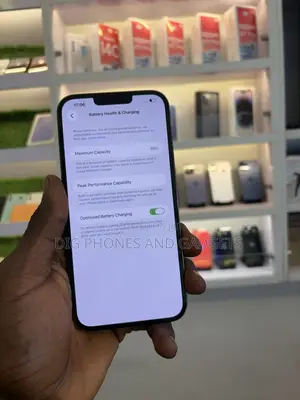 Apple iPhone 13 Pro Max 512 GB Gray