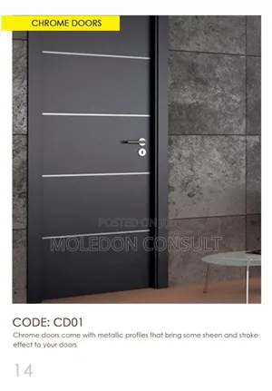 Flush Door