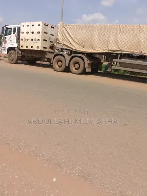 I Sell Cement Dangote and Bua Y