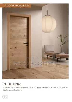 Flush Door