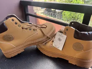 New Timberland Shoe