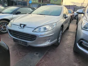 Peugeot 407 2007 Silver