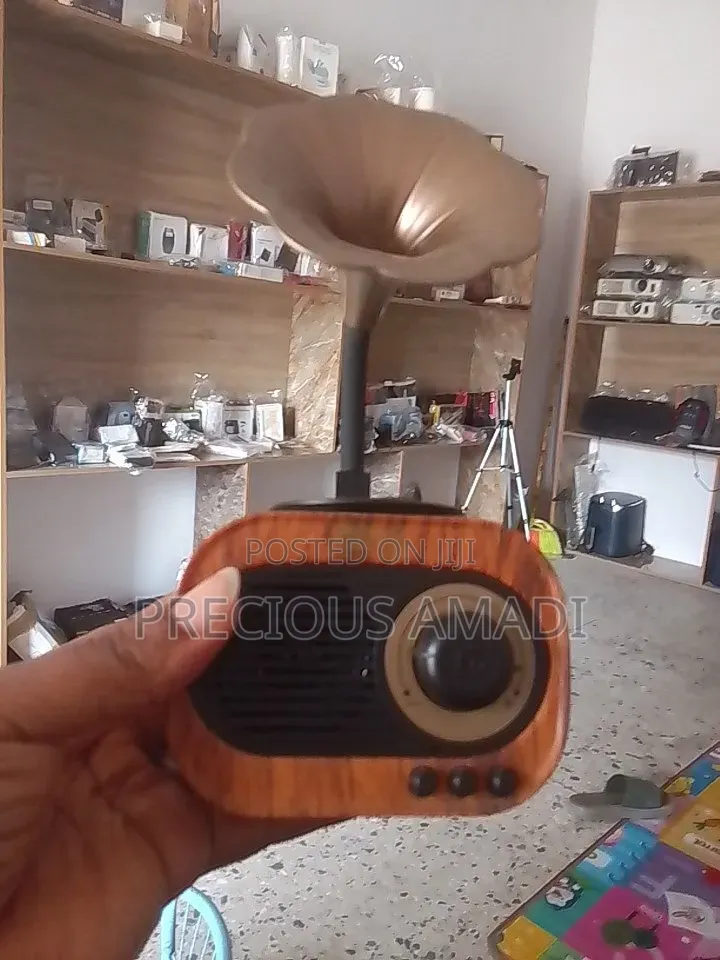 BT12 Vintage-Style Gramophone Bluetooth Speaker,
