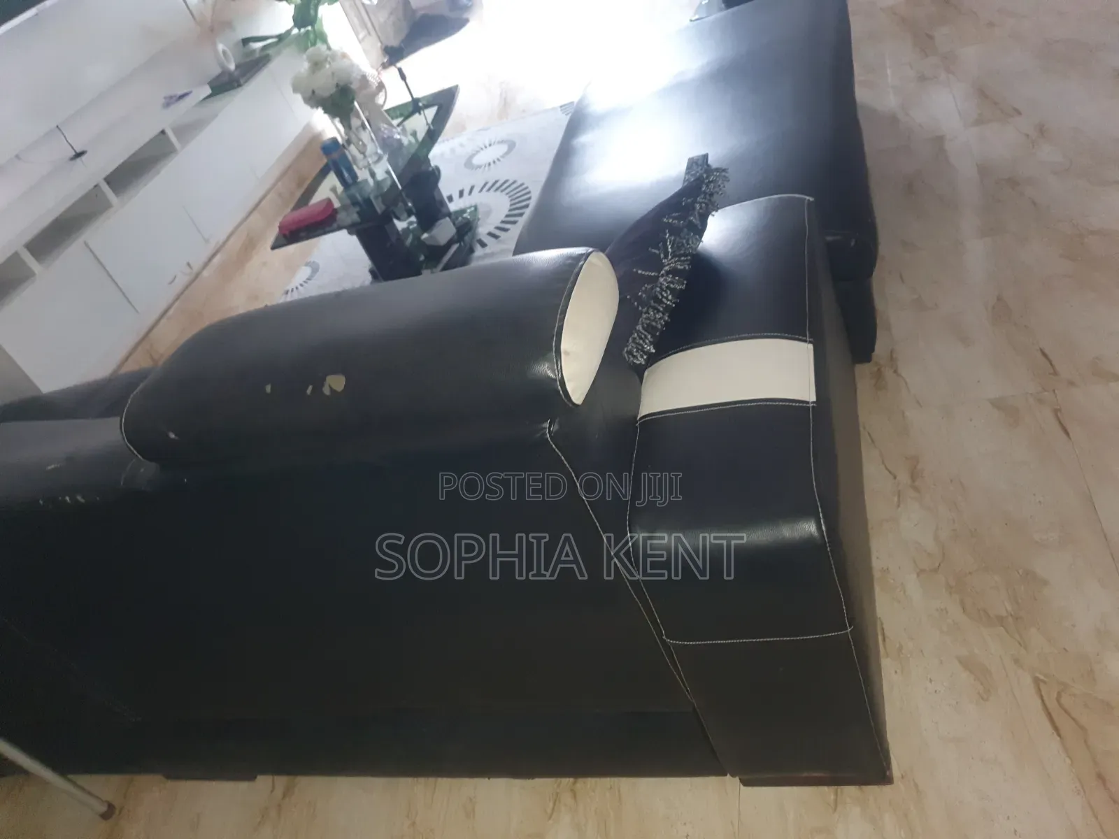 Leather Sofa Full Set