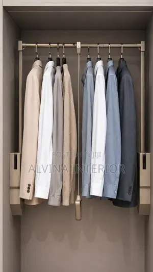 Automatic/Manual Wardrobe Lift