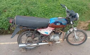 Bajaj Boxer 100 2019 Red