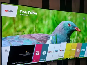 Uk Used LG Oled 55 Curve