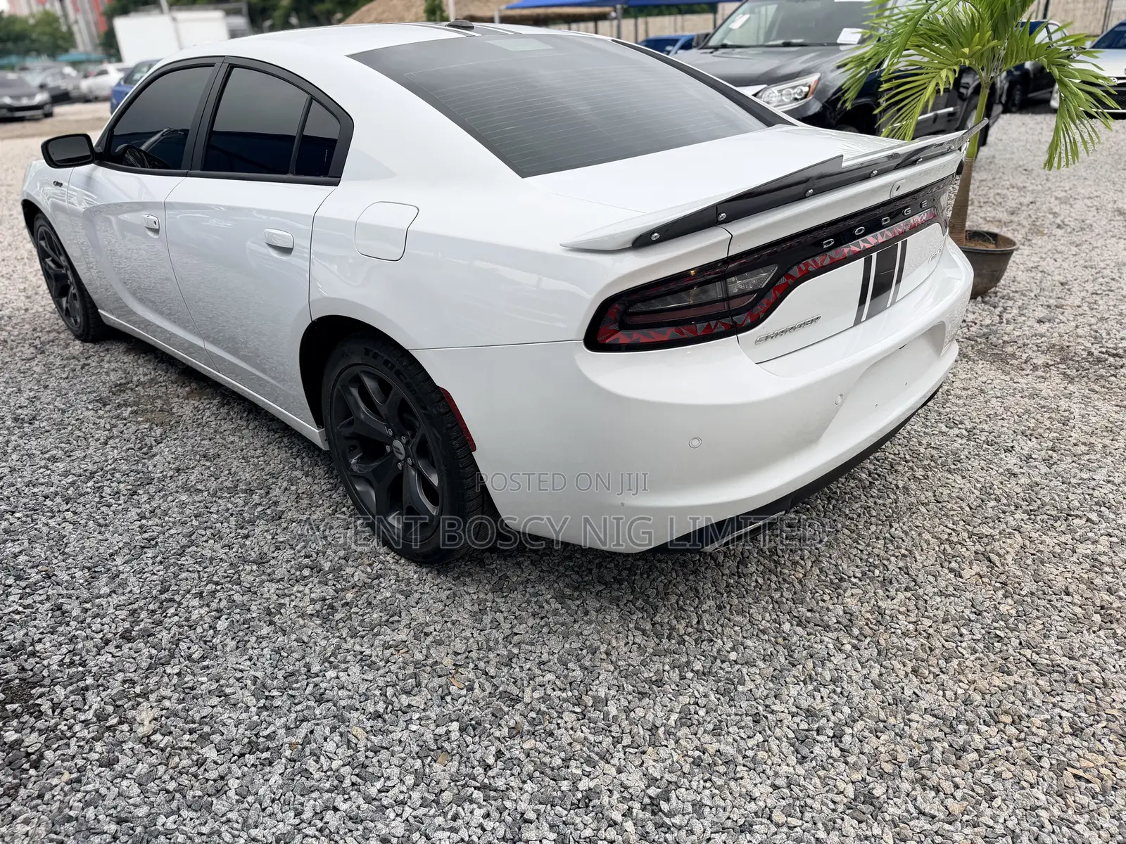Dodge Charger 2018 White