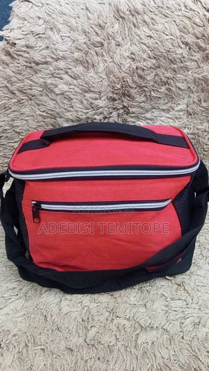 Thrift Lunch Bag