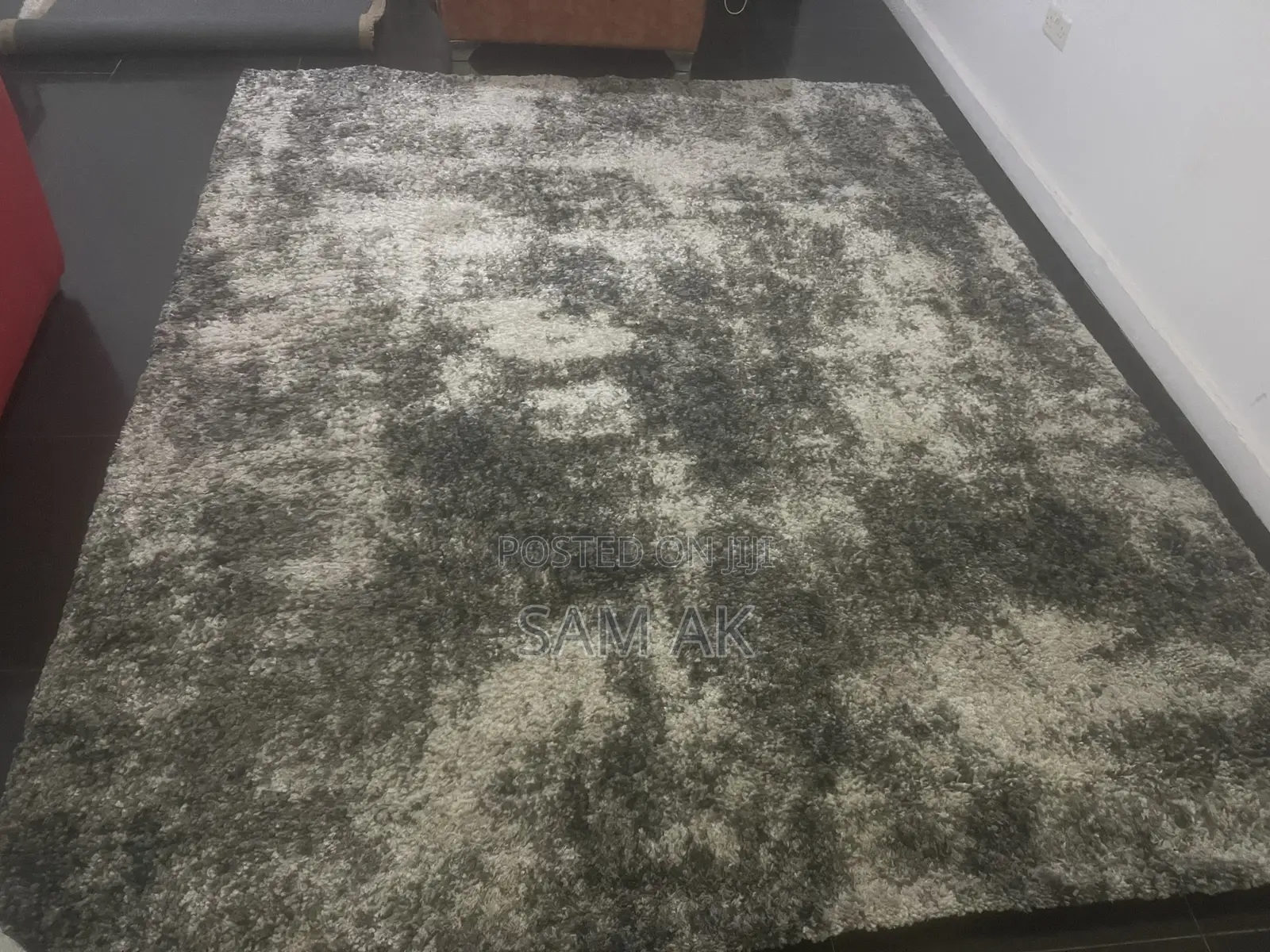 Rug (Large 10 X 8 Feet)