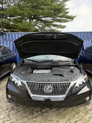 Lexus RX 350 2010 Black