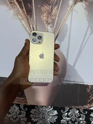 Apple iPhone 13 Pro Max 256 GB Rose Gold