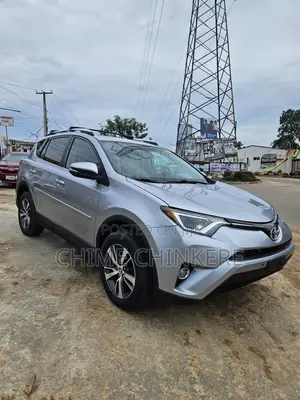 Toyota RAV4 XLE AWD (2.5L 4cyl 6A) 2016 Silver