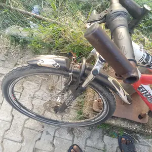 McKenzie Bike