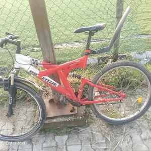 McKenzie Bike