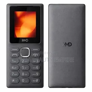 New Nokia 100 Gray