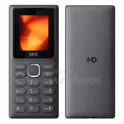 New Nokia 100 Gray