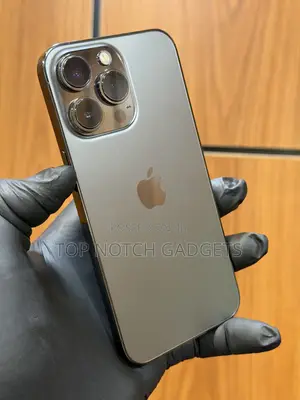 Apple iPhone 13 Pro 256 GB Gray