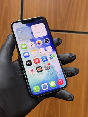 Apple iPhone 13 Pro 256 GB Gray