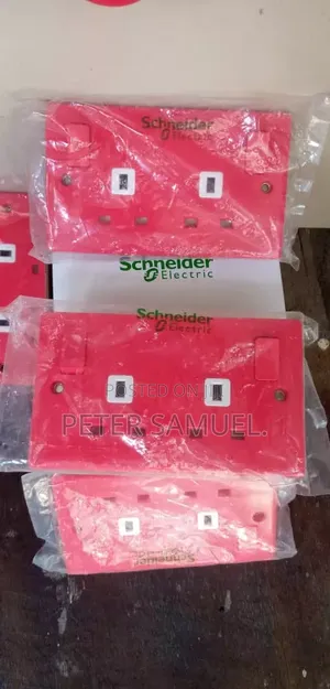 13amps Double Switch Original Schneider
