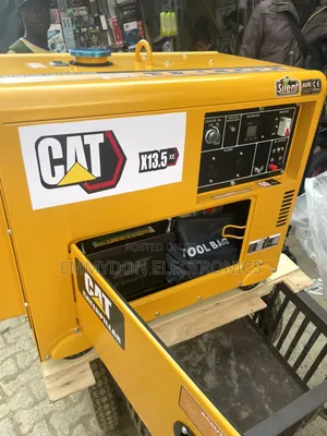 CAT 13KVA Commercial Backup Generator
