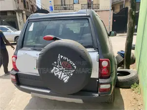 Land Rover Freelander 2000 Gray