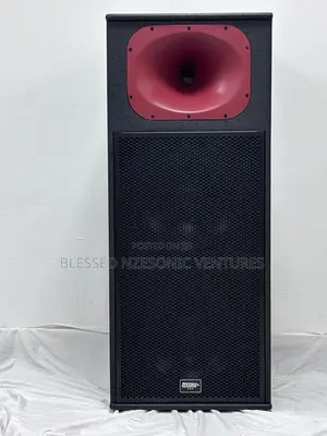 Professional Double Speaker