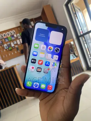 Apple iPhone 13 Pro Max 256 GB Blue