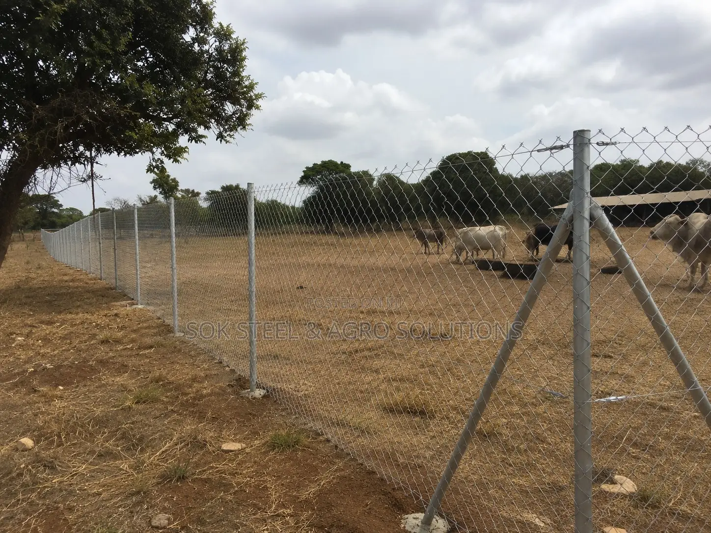 8ft Chain Link Galvanized Fence Wire