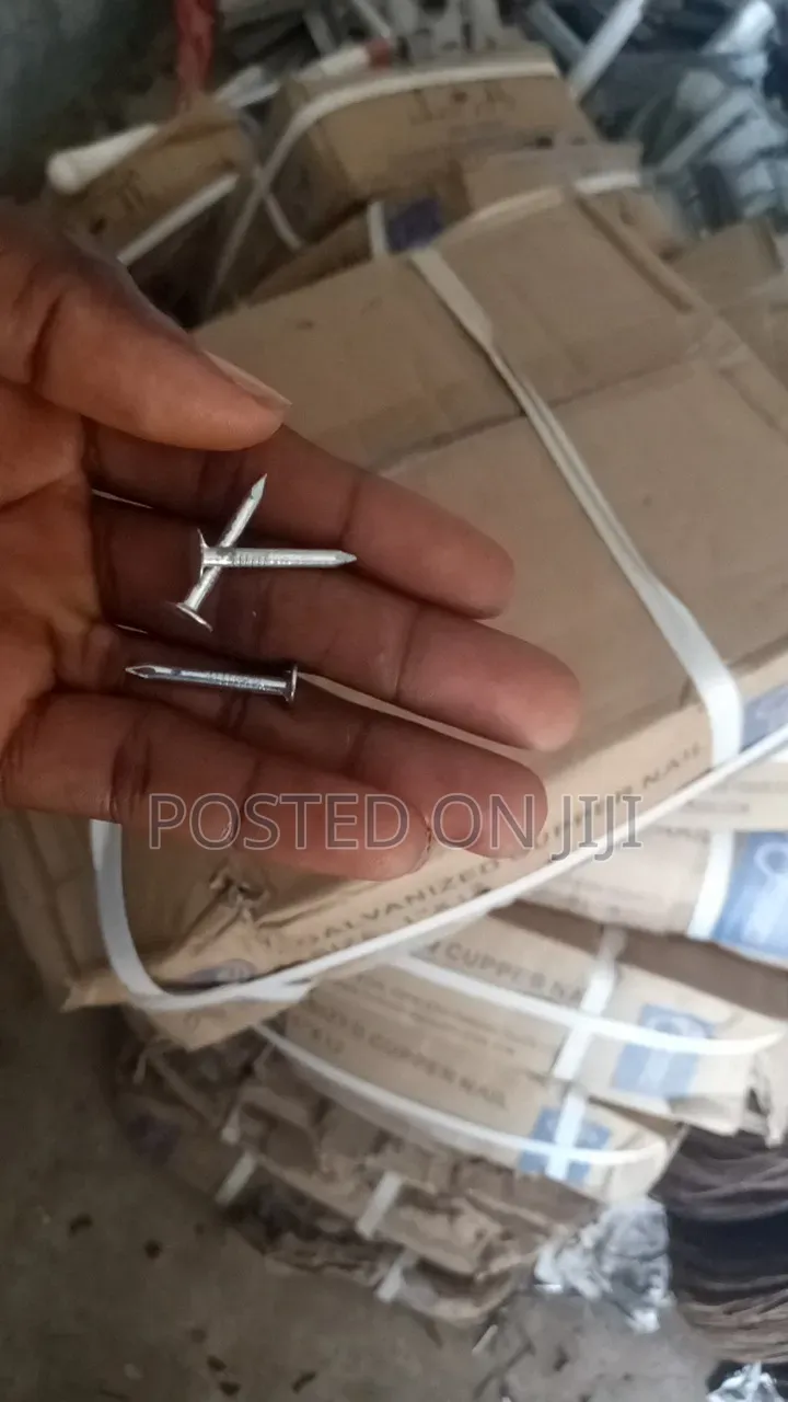 Galvanized Cupper Nail