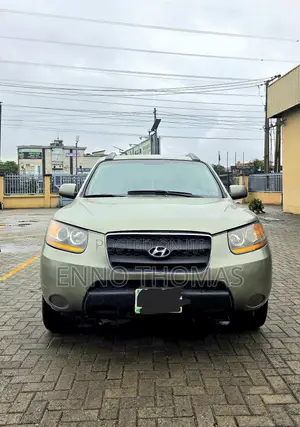 Hyundai Santa Fe 2009 Green