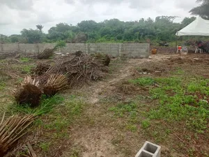 C of O Land for Sale Opposite Lekki Internationa Airport | Ibeju-Lekki