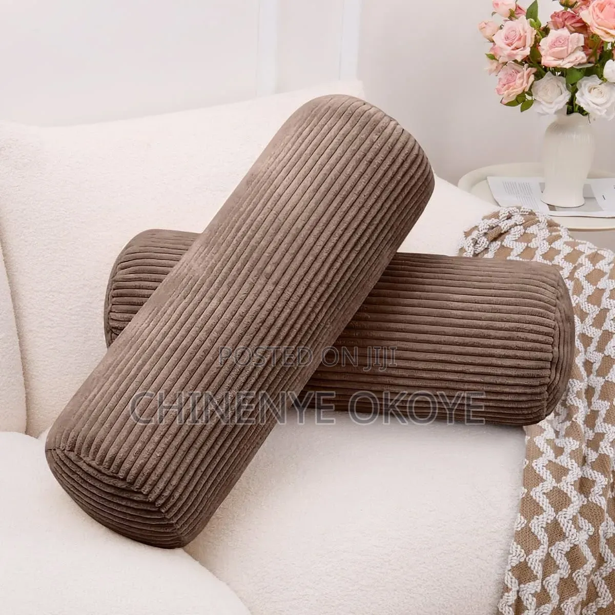 Cylinder Plane Pillow