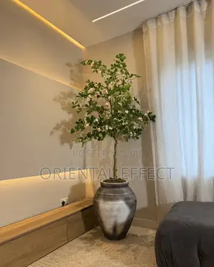 Black Wash Oryvyn Pot With White Exotica Tree | Artificial Trees