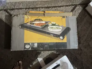 Electric Flat Plate Warmer