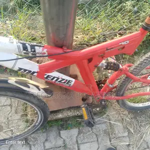 McKenzie Bike