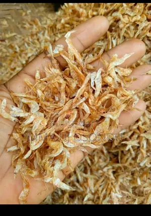 Food Stuff Wholesale and Retail