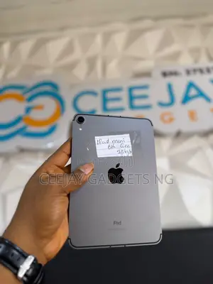 Apple iPad mini 6 256 GB Gray